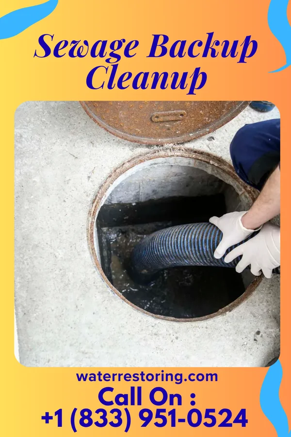 Sewage Backup Cleanup in Clayton, WI