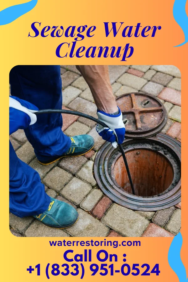 Sewage Water Cleanup in Clayton, WI
