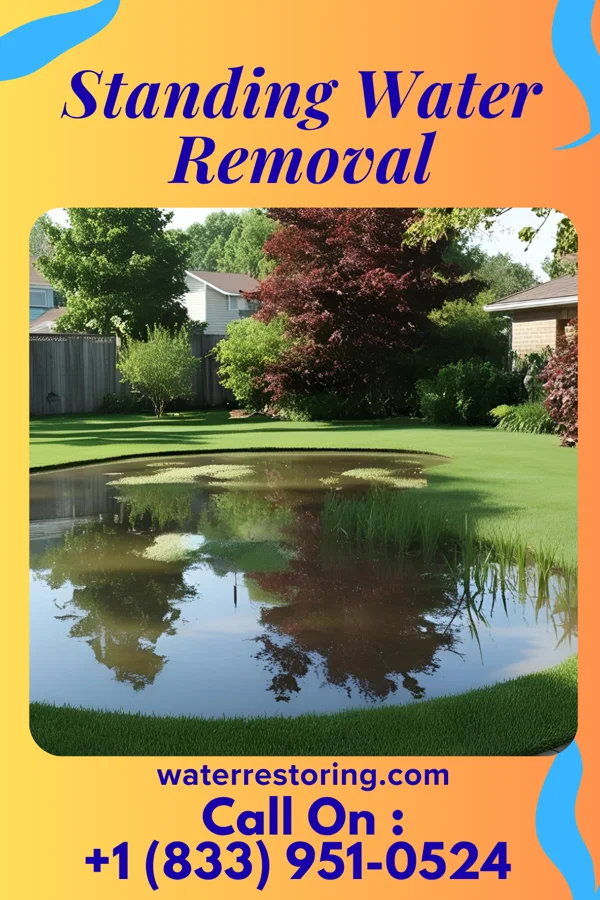 Standing Water Removal in Clayton, WI